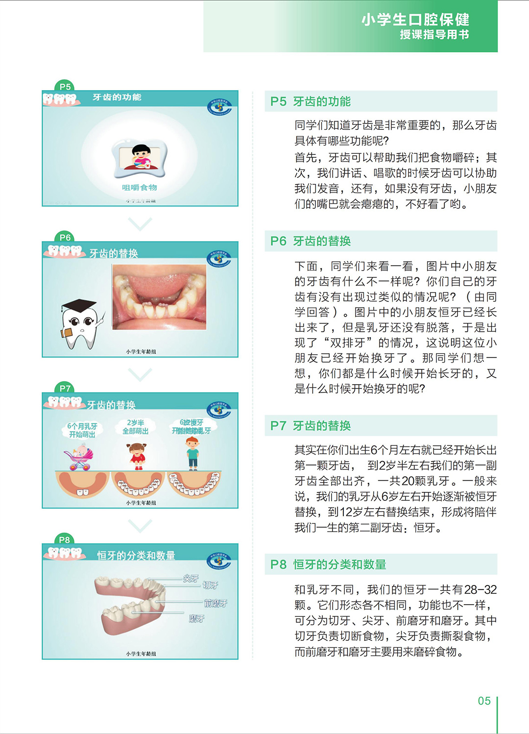 小学生口腔保健授课指导用书_04-2.jpg