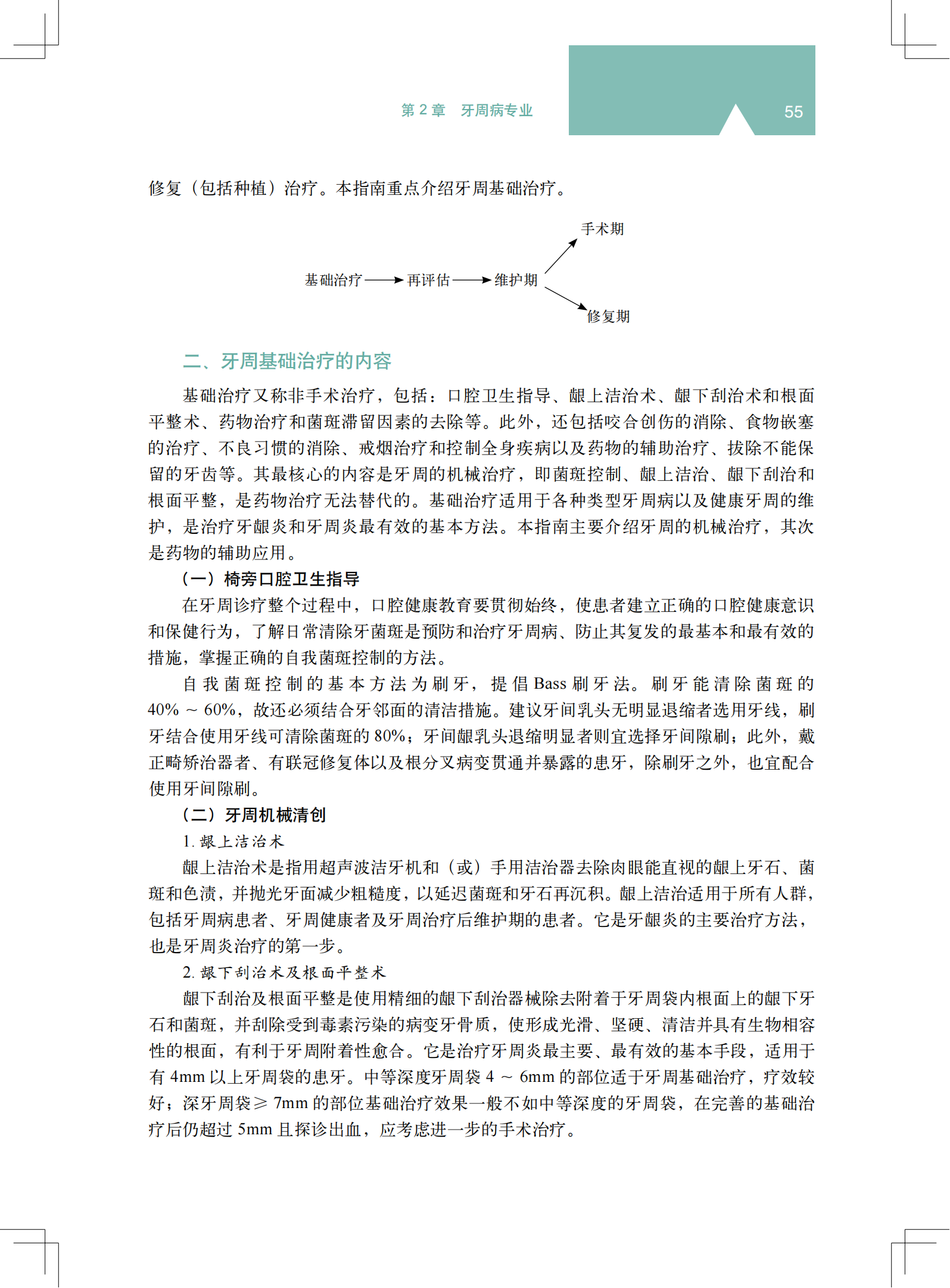 2z 《中国牙周病防治指南》_13.png
