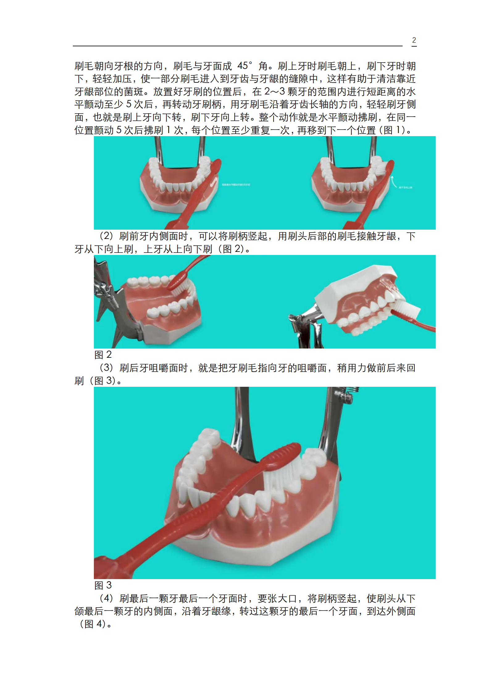 《口腔疾病患者的口腔健康维护指导》_04.png